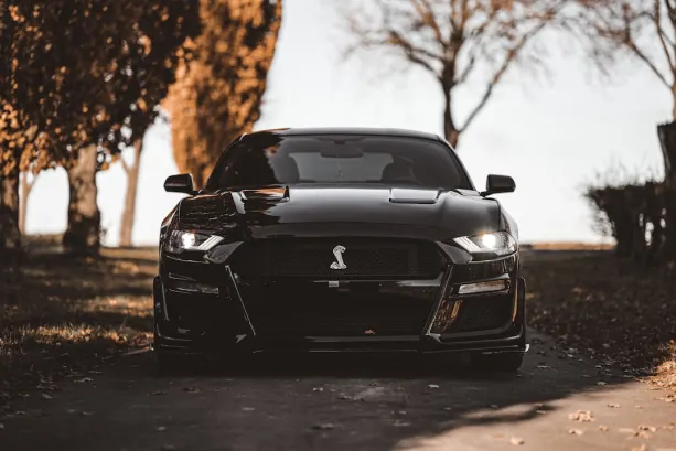 Casino777 Kasino Android/iOS aplikace